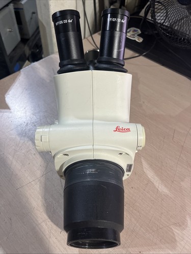 Leica s6d trinocular stereo - s6d,